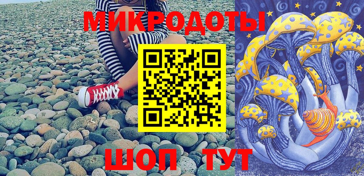 Псилоцибиновые грибы мицелий Сосновоборск